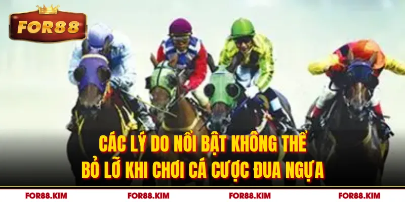 Các lý do nổi bật không thể bỏ lỡ khi chơi cá cược đua ngựa