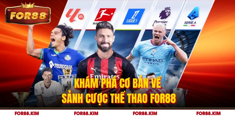 Khám phá cơ bản về sảnh cược thể thao FOR88